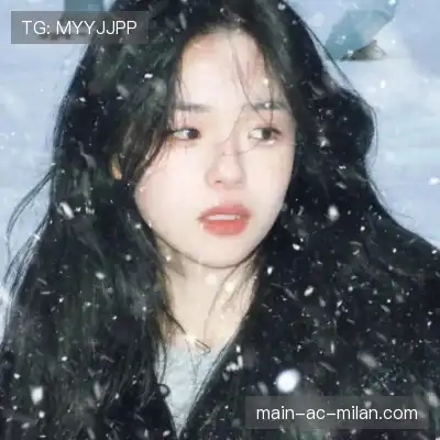 沈辉